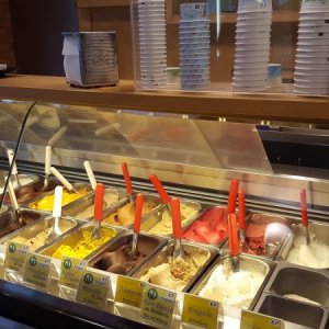 Gelato Ecologico E Frozen Yogurt